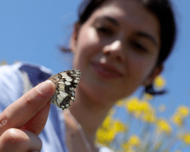 1º de septiembre: Jornada de la Creación en el signo del ecumenismo