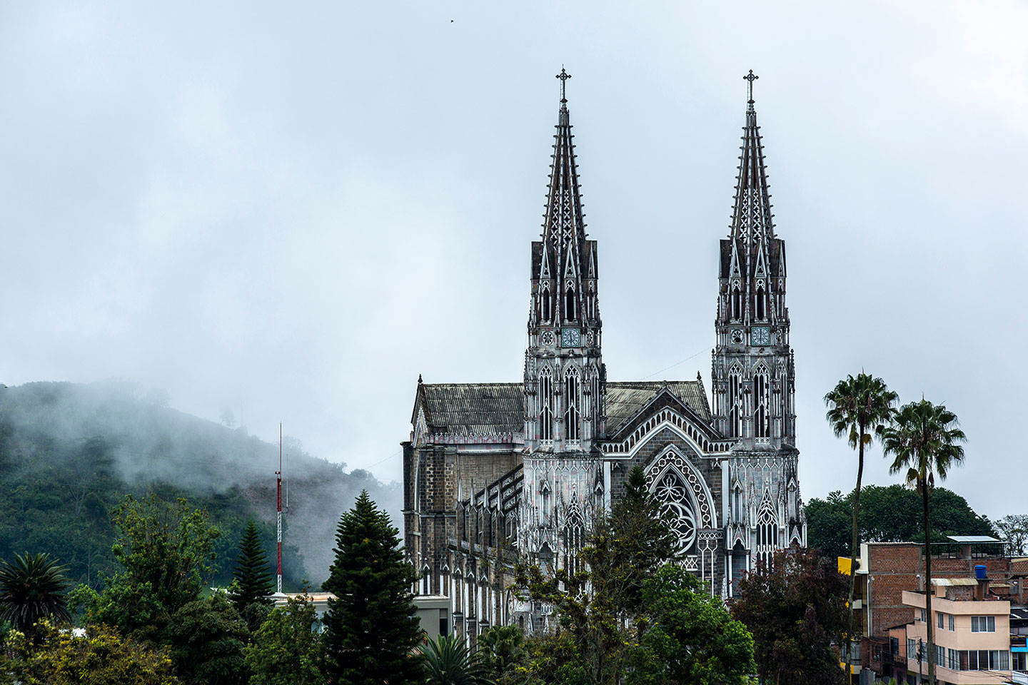 El Carisma de la unidad en la vida sacerdotal