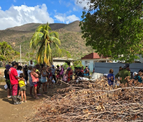 La vida que florece en los escombros (Cuba)