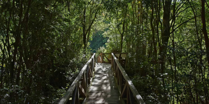 Creciendo en humanidad