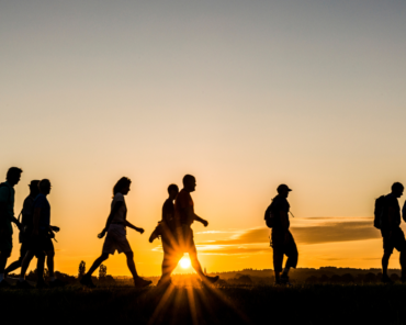 “Acompañar-Nos para Alimentar la Vida”, curso de Sophia ALC para el contexto latinoamericano