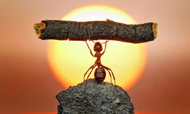 ¿Es posible renacer después de un trauma?